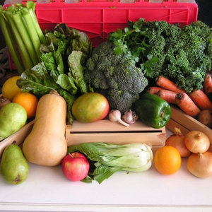 veg-2.jpg