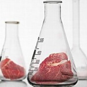 viande_lab.jpg