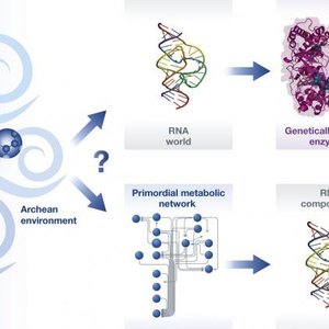 vie-origines-2hypotheses.jpg