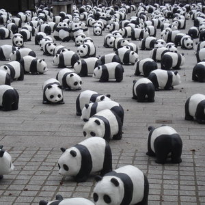 wwf.jpg