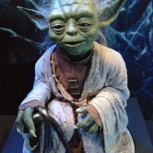 yoda.jpg